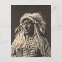 Indienne vintage : Cygne blanc, Corbeau -