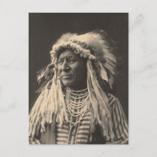 Carte Postale Indienne vintage : Cygne blanc, Corbeau -