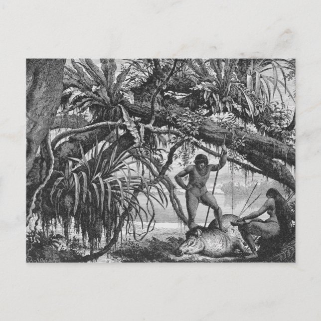 Carte Postale Indiens Caripuna avec tapir (Devant)