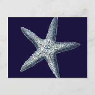 Carte Postale Indigo Shells IV