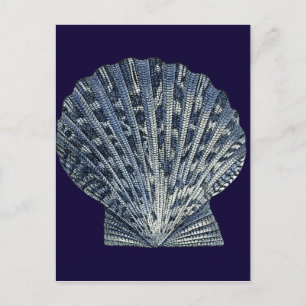 Carte Postale Indigo Shells VIII