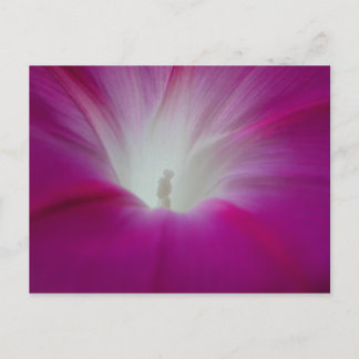 Carte Postale Infini