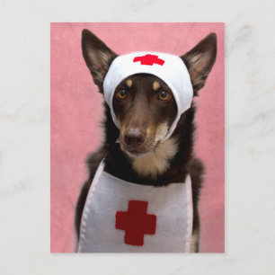 Carte Postale Infirmière Ally