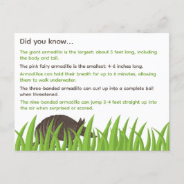 Carte Postale Informations amusantes sur Armadillos