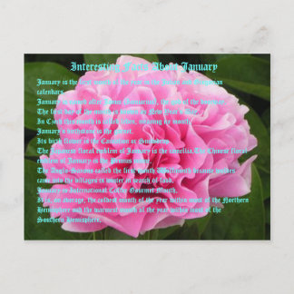 Carte Postale Informations intéressantes sur Janvier