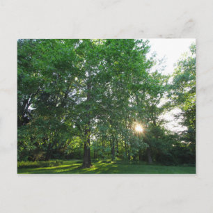 Carte Postale Inniswood Gardens Metropark, Westerville, Ohio