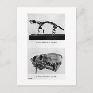 Carte postale Inostrancevia alexandri art