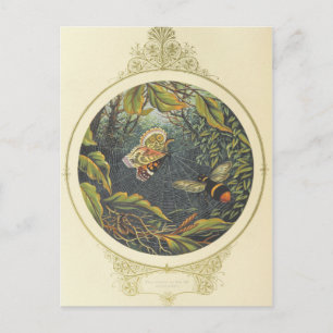 Carte postale Insecte vintage