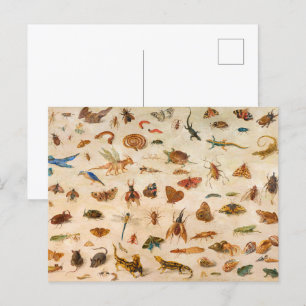 Carte Postale Insectes, amphibiens et coquillages par Jan van Ke