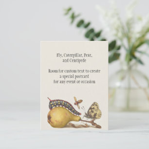 Carte Postale Insectes de jardin, mouche, chenille, poire, mille