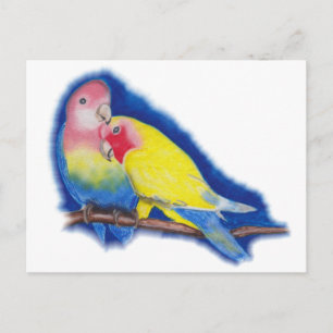 Carte Postale inséparables