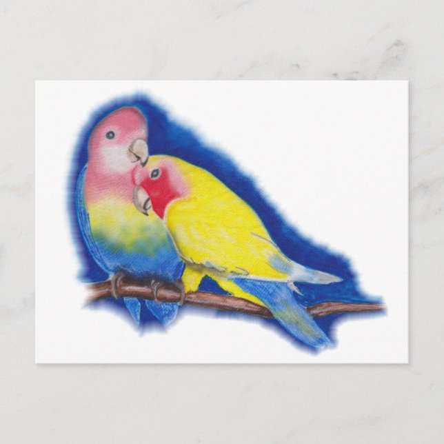 Carte Postale inséparables (Devant)