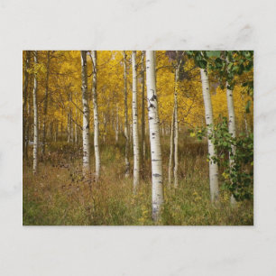 Carte postale Inspirante