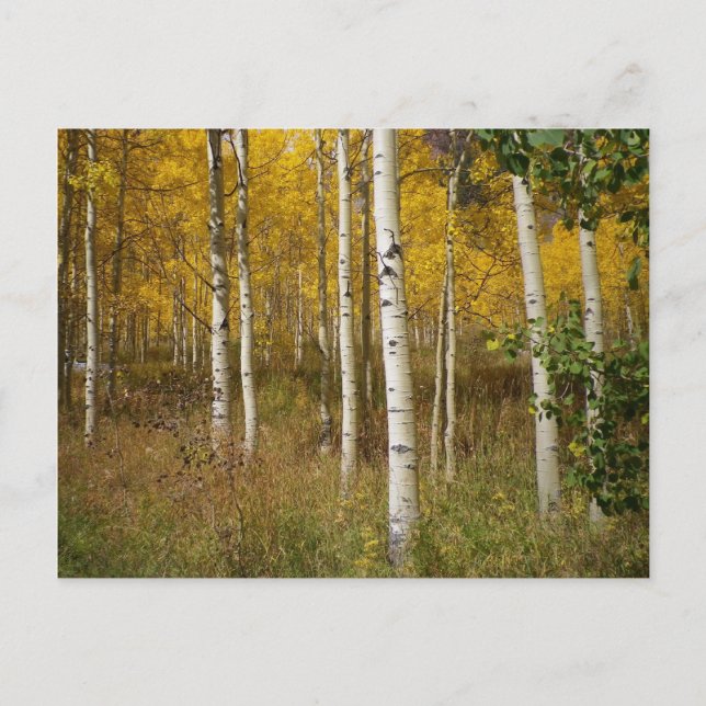 Carte postale Inspirante (Devant)