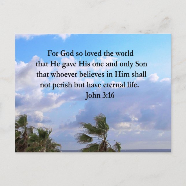 CARTE POSTALE INSPIRING JOHN 3:16 PHOTO (Devant)