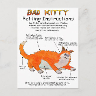 Carte Postale Instructions de mouture de Kitty Bad