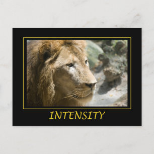 Carte Postale Intensité