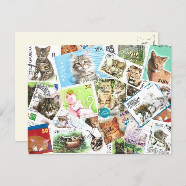 Carte Postale Internationale Cat Postage (Devant / Derrière)