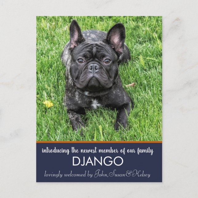 Carte Postale "Introduire" notre nouveau Faire-part de chien (Devant)