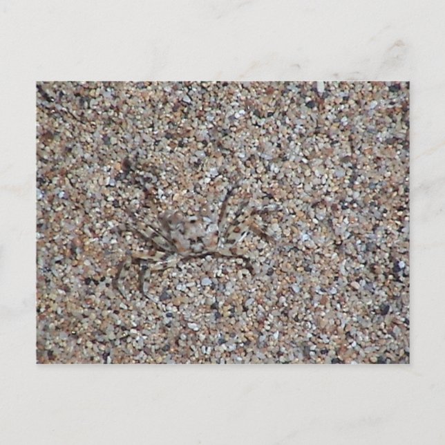 Carte postale introuvable (Devant)