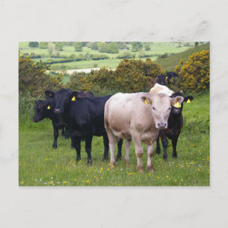 Carte Postale Invasion