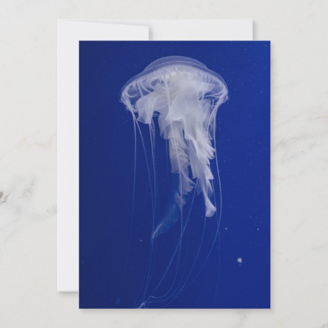 Carte postale Invitation 5" x 7" (Devant)