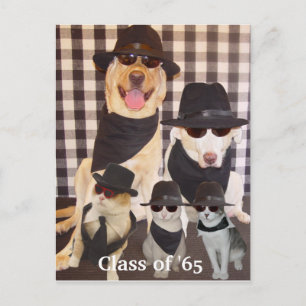 Carte Postale Invitation à la réunion de classe