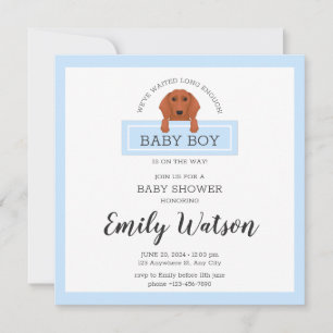 Carte postale Invitation Baby shower Dachshund
