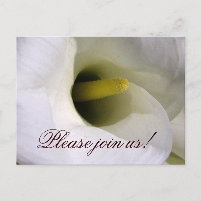 Carte postale invitation Calla lily (Devant)