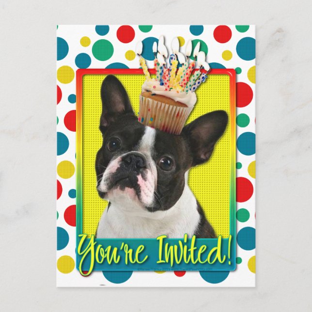 Carte Postale Invitation Cupcake - Boston Terrier (Devant)