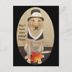 Carte Postale Invitation de Thanksgiving