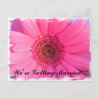 Carte Postale Invitation Gerber Daisy