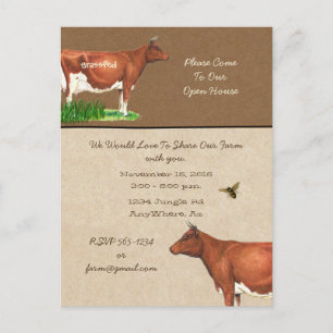 Carte Postale Invitation Guernsey Cow