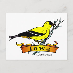 Carte Postale Iowa Goldfinch