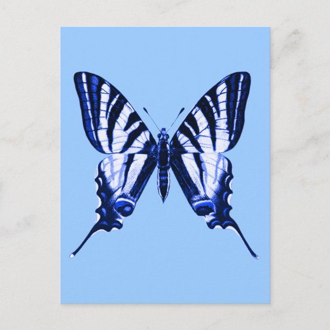 Carte postale Iphiclides podalirius (Devant)