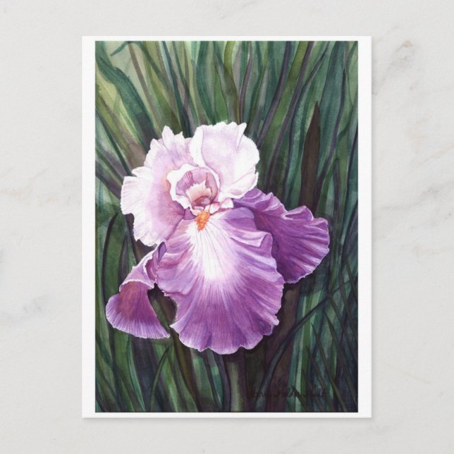 Carte postale Iris (Devant)