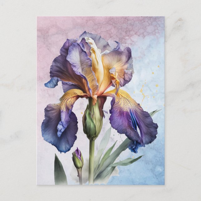 Carte Postale Iris (Devant)