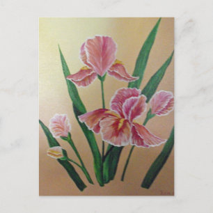 Carte postale Iris