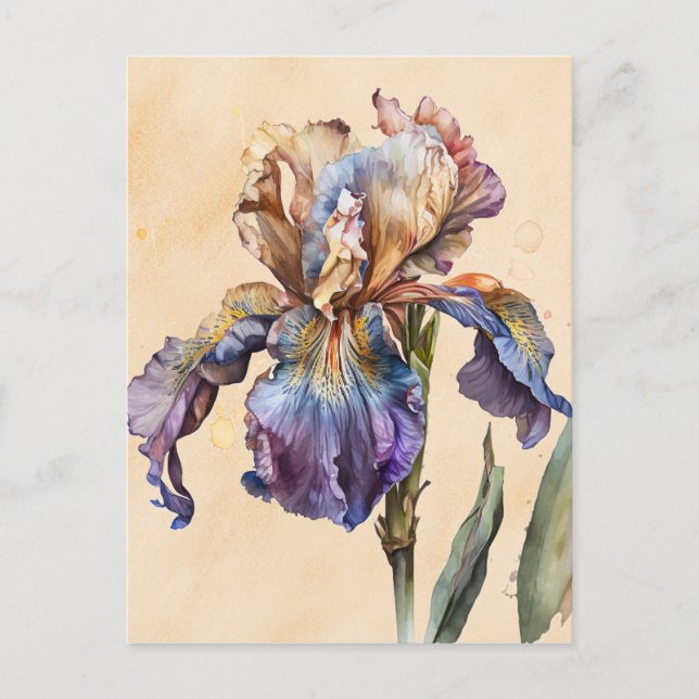 Carte Postale Iris (Devant)