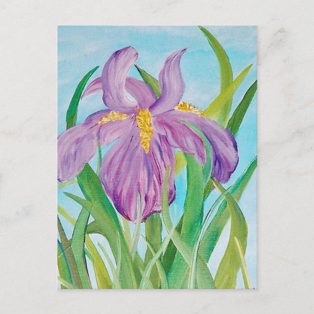 Carte postale Iris (Devant)