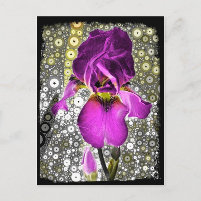Carte postale Iris (Devant)