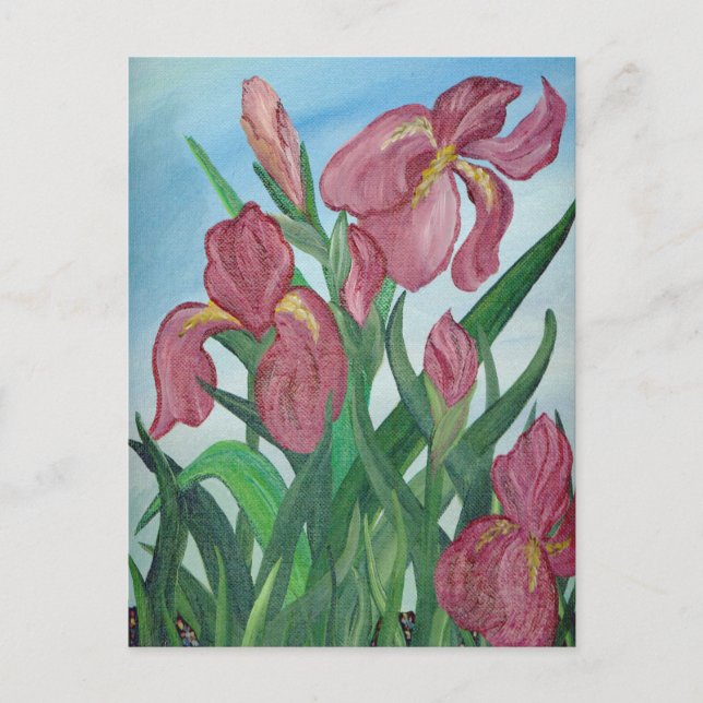 Carte postale Iris (Devant)