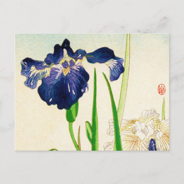 Carte Postale Iris bleu - estampe aquarelle japonaise (Devant)