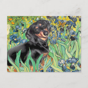 Carte Postale Iris - Dachsund (BT4)