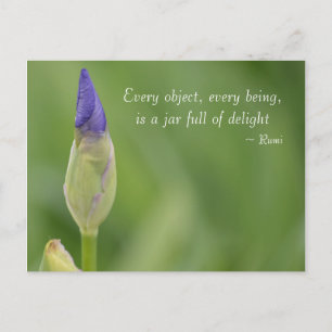 Carte Postale iris de printemps