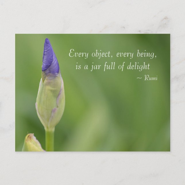 Carte Postale iris de printemps (Devant)