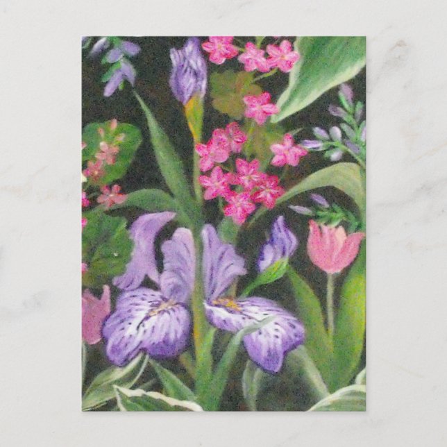 Carte postale Iris Garden (Devant)