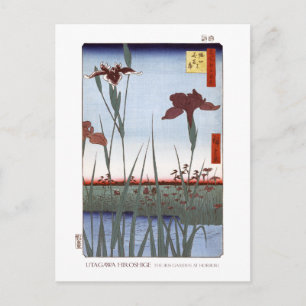Carte Postale Iris Garden Postcard