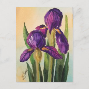 Carte postale Iris violet