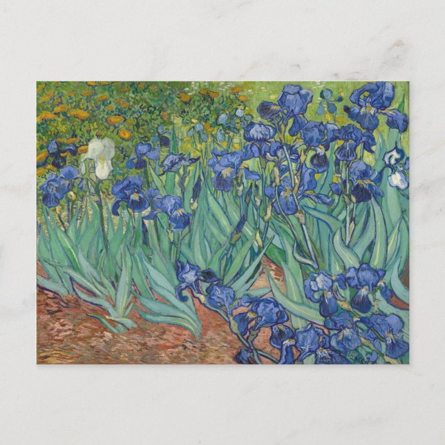Carte Postale Irises bleu vert jaune Van Gogh (Devant)